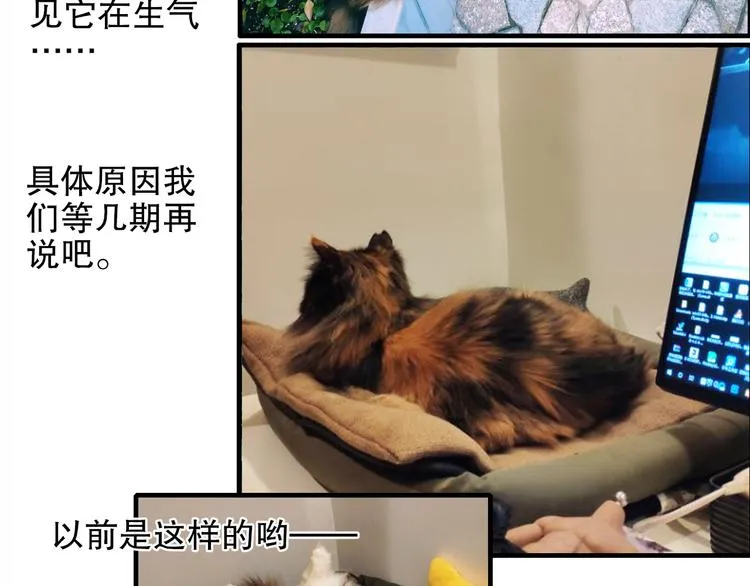 第80回 不同于凡间的恋爱 第70页