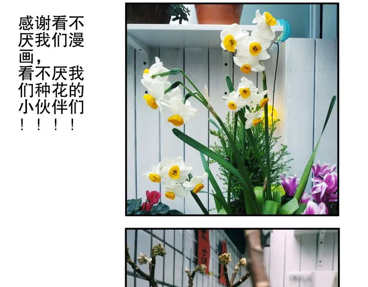 第78回 清心寡欲的石头神 第66页