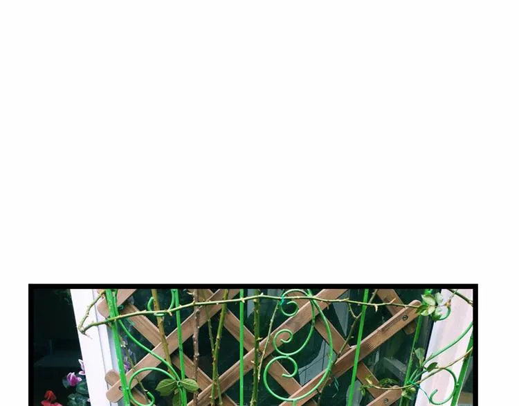 第75回 山神的给予 第116页