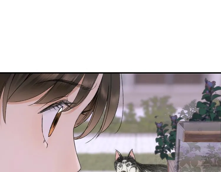 第70话 小枣烂桃花爆发 第43页