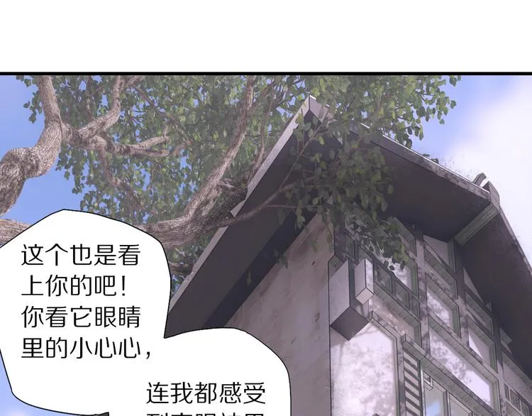 第70话 小枣烂桃花爆发 第46页
