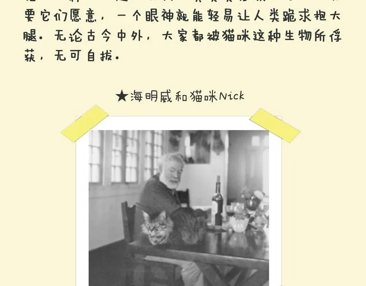 第11话 我才不是猫！ 第70页