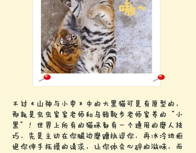 第11话 我才不是猫！ 第74页