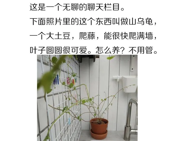 第57话 背后的阴谋 第104页