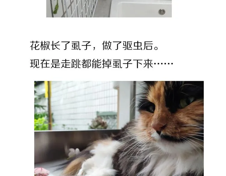 第57话 背后的阴谋 第105页