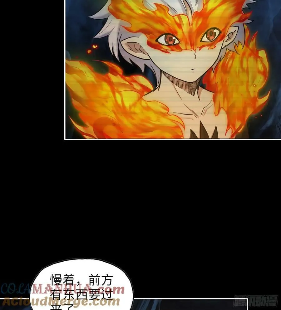 19- 神秘的生物 第40页