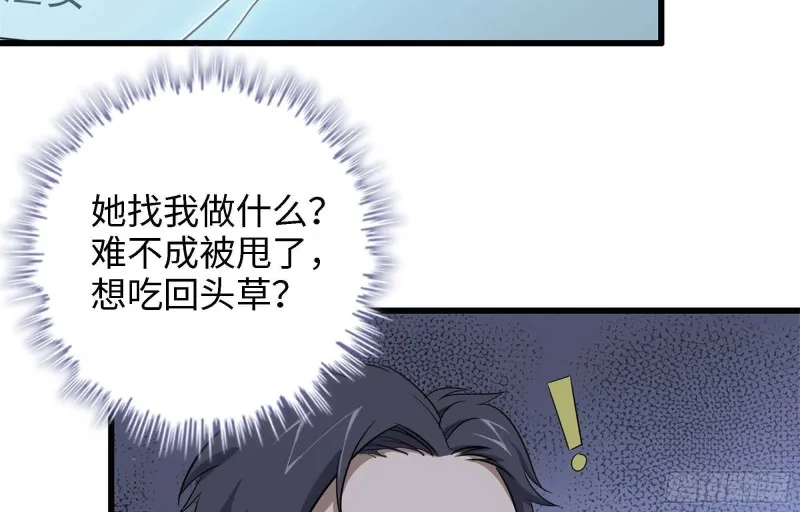 46- 赵倩的电话 第29页