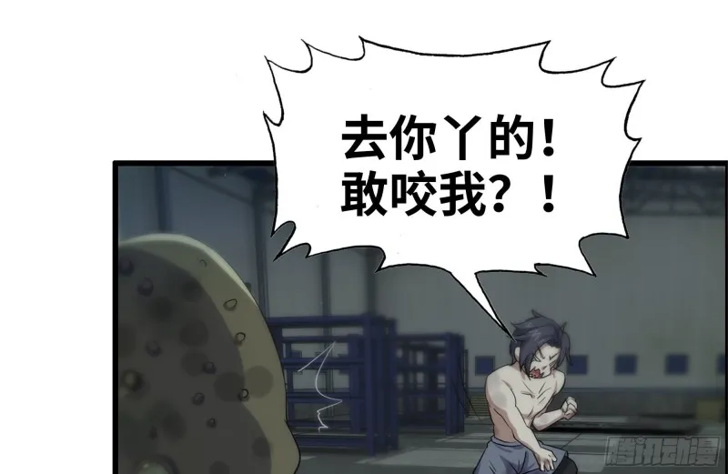 137-青蛙军团？ 第14页