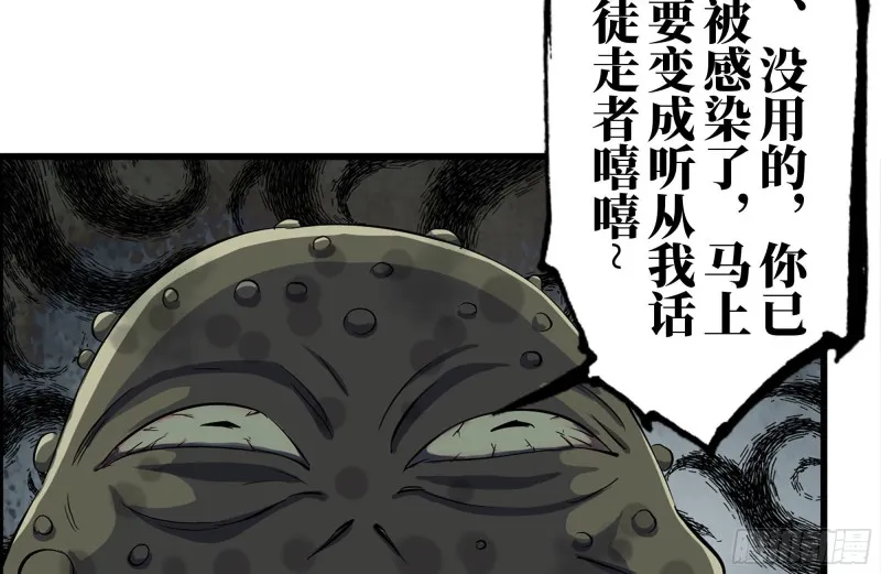 137-青蛙军团？ 第16页