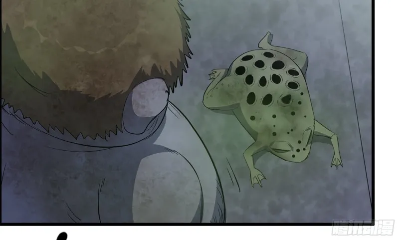 147- 负子蟾1 第8页