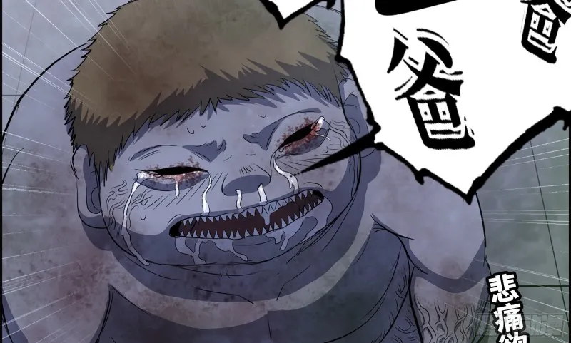 147- 负子蟾1 第12页