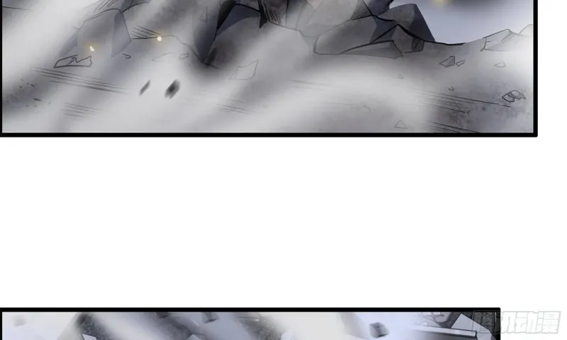 147- 负子蟾1 第37页