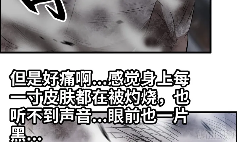 147- 负子蟾1 第42页