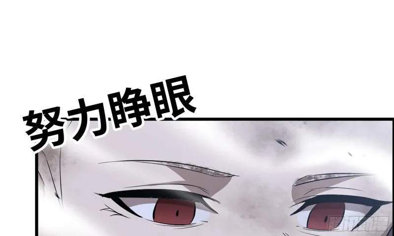 147- 负子蟾1 第50页