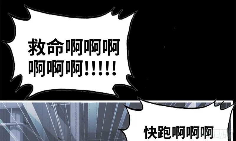 148- 负子蟾2 第46页