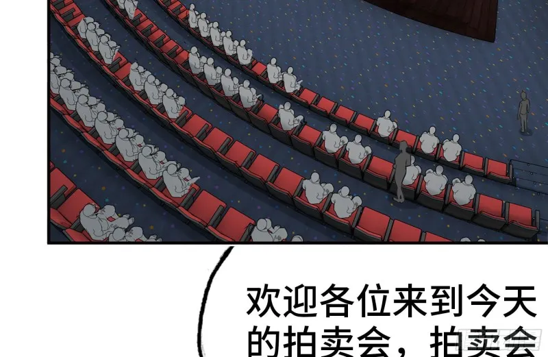 161-拍卖开始 第51页
