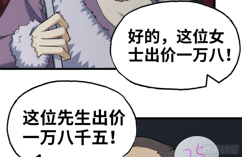 161-拍卖开始 第80页