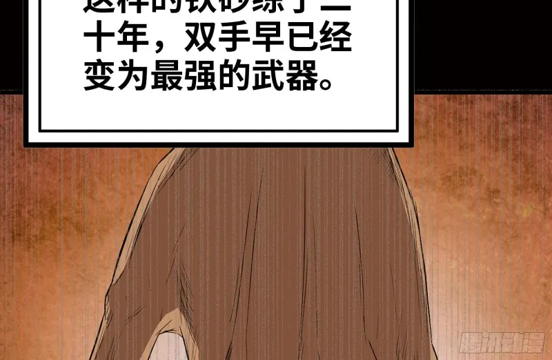 173-铁砂掌 第30页