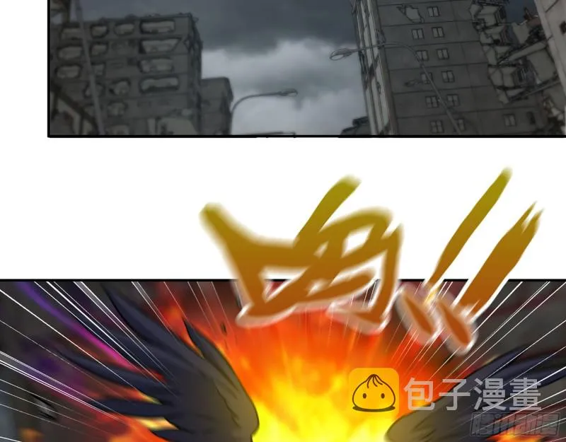 289- 究极形态 第13页