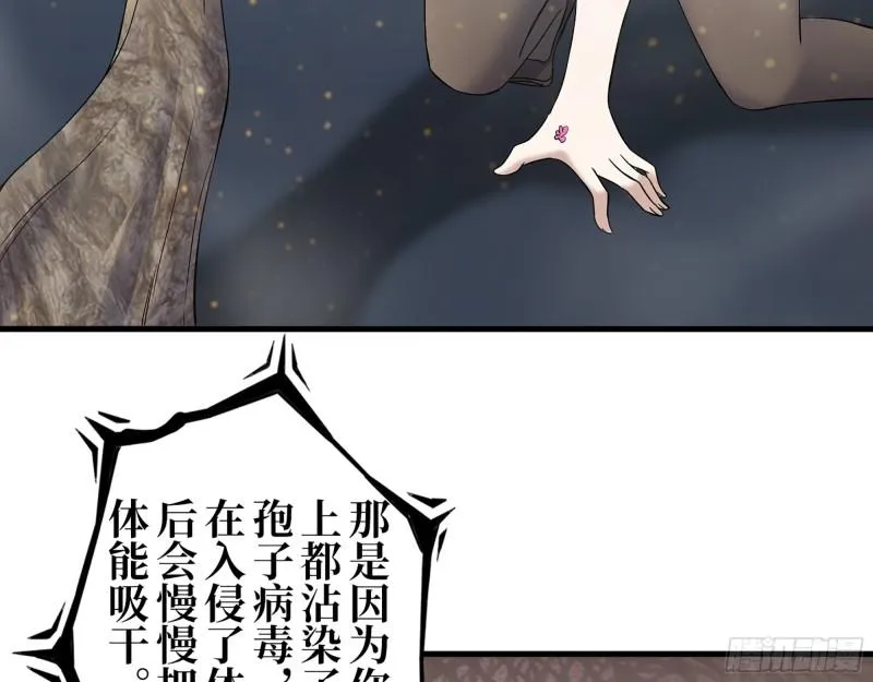 374- 孢子病毒 第5页