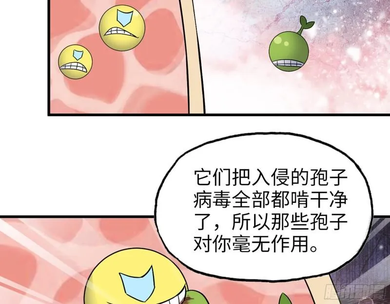 374- 孢子病毒 第16页