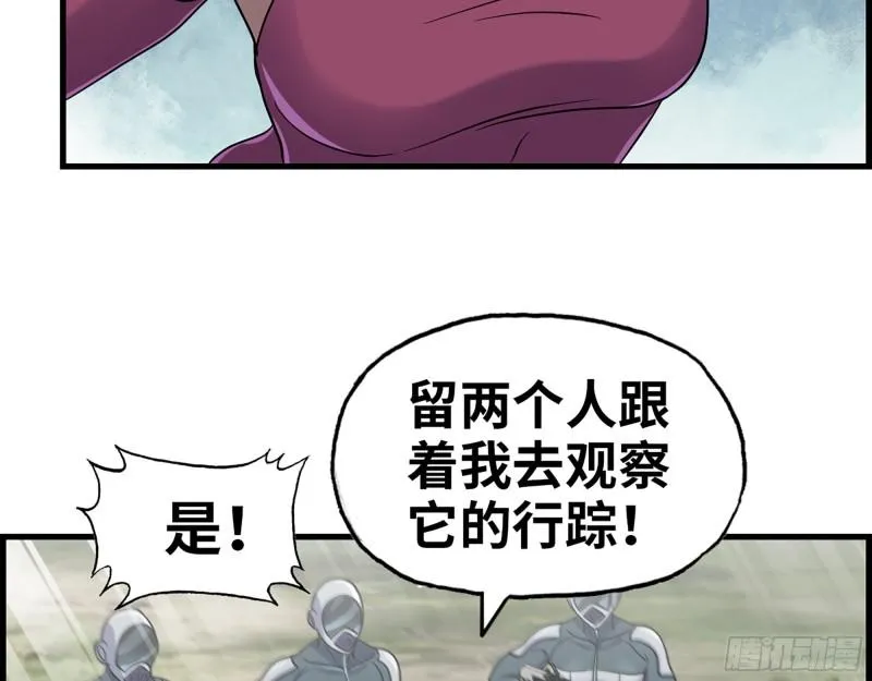 374- 孢子病毒 第30页