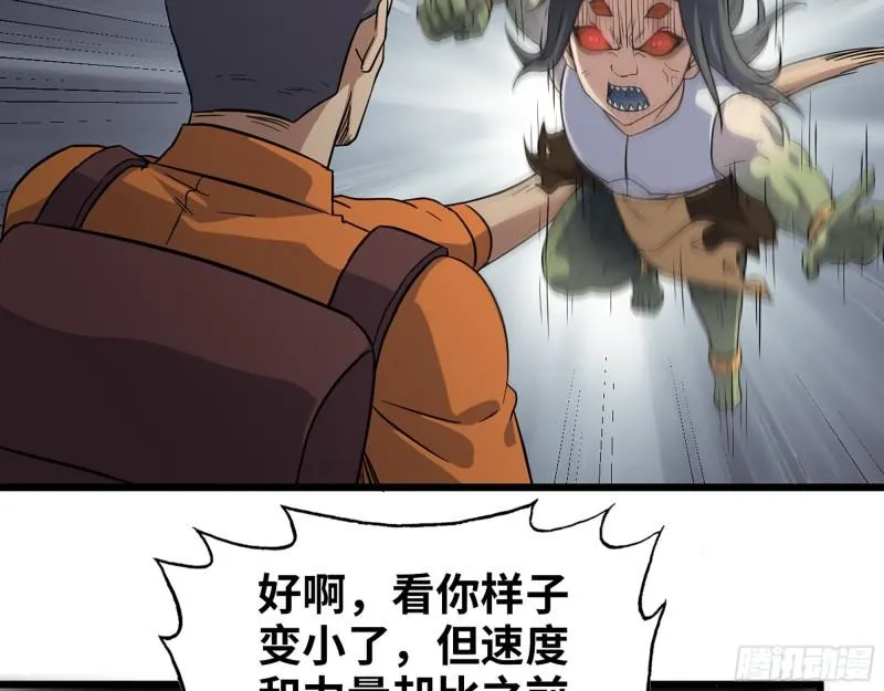 491- 顶级装备 第7页