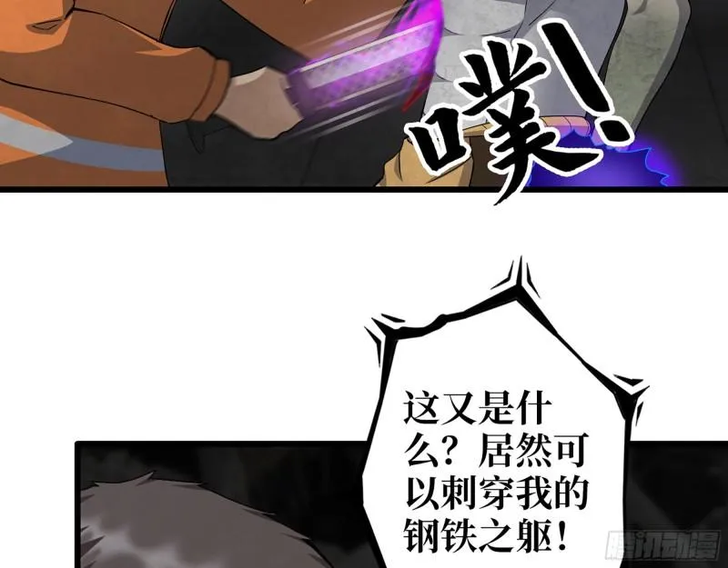 491- 顶级装备 第30页