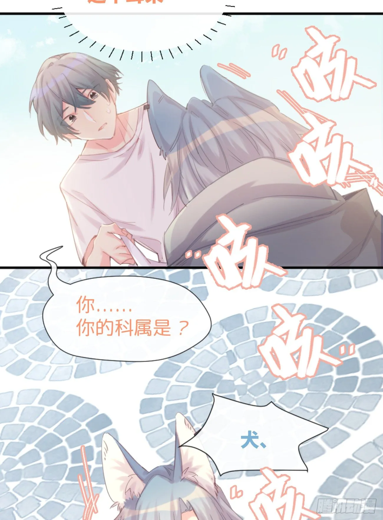 ◆01上◆ 犬、犬科！ 第41页