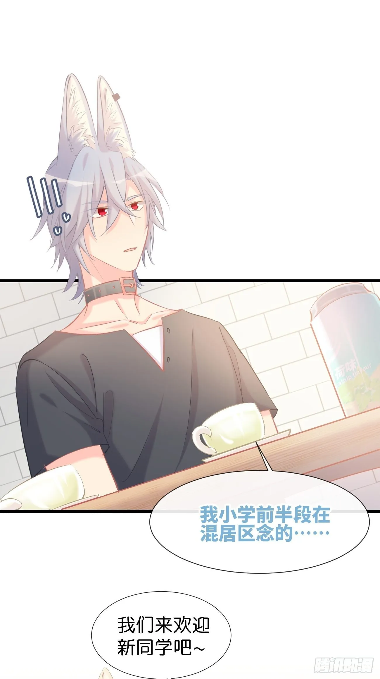 ◆12上◆ 过敏？ 第22页