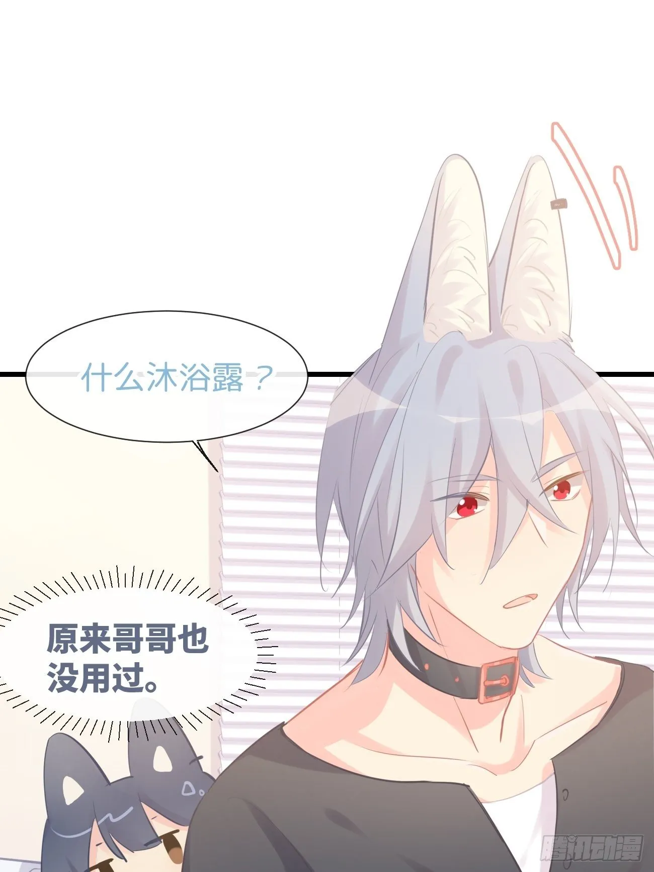 ◆15下◆ 纯O 第11页