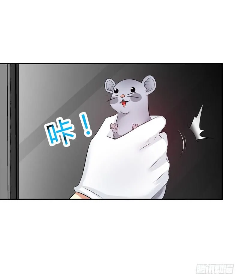 老鼠来袭 第28页
