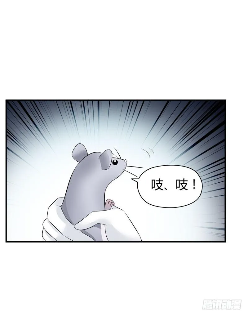 老鼠来袭 第31页