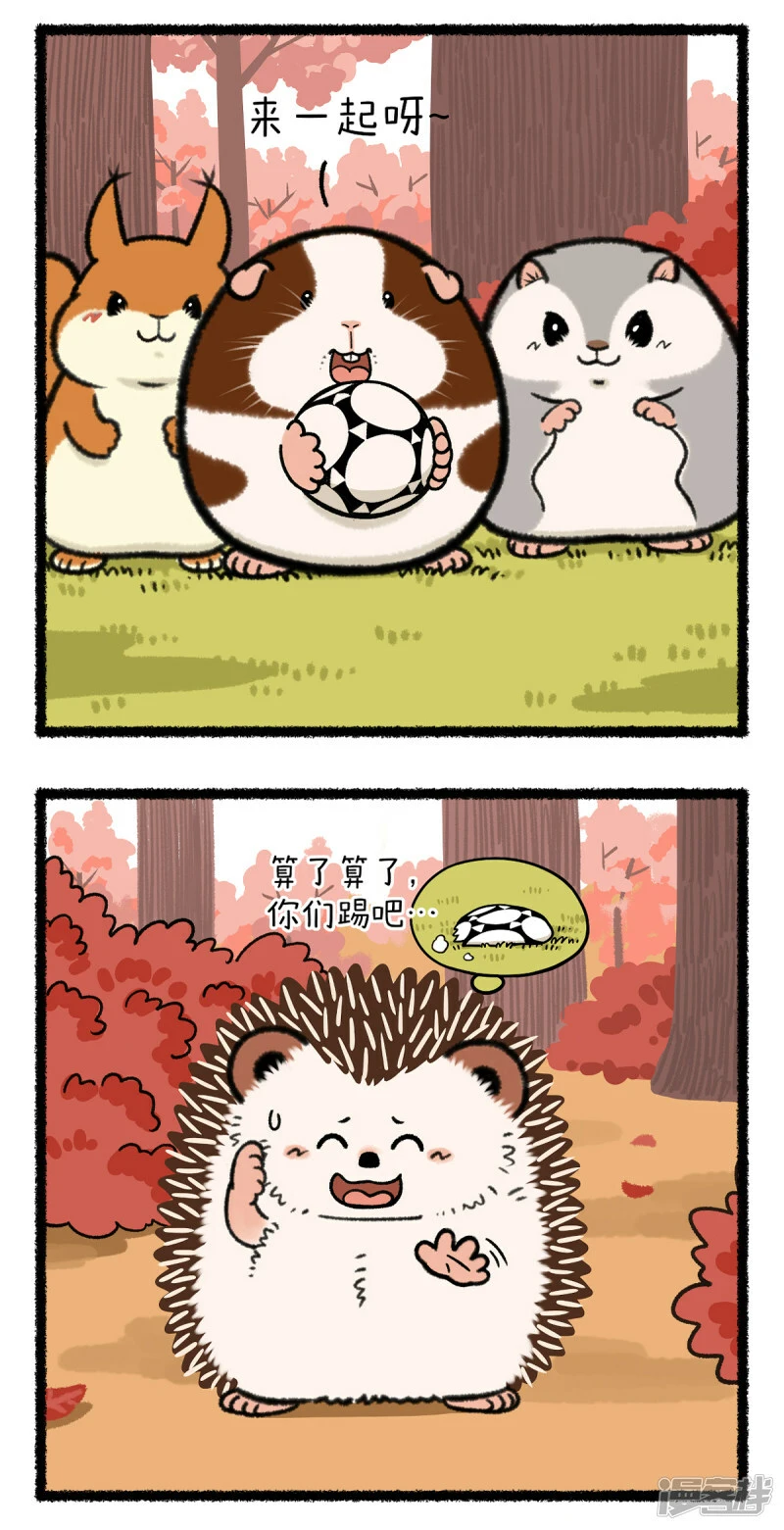 355谁还不是足球场上一朵带刺的玫瑰了~ 第2页