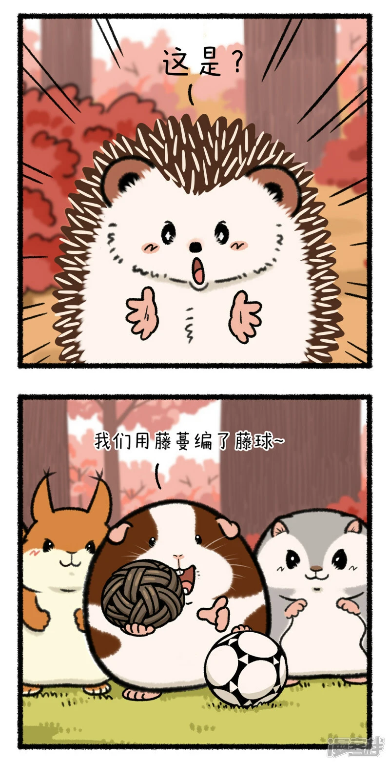 355谁还不是足球场上一朵带刺的玫瑰了~ 第4页