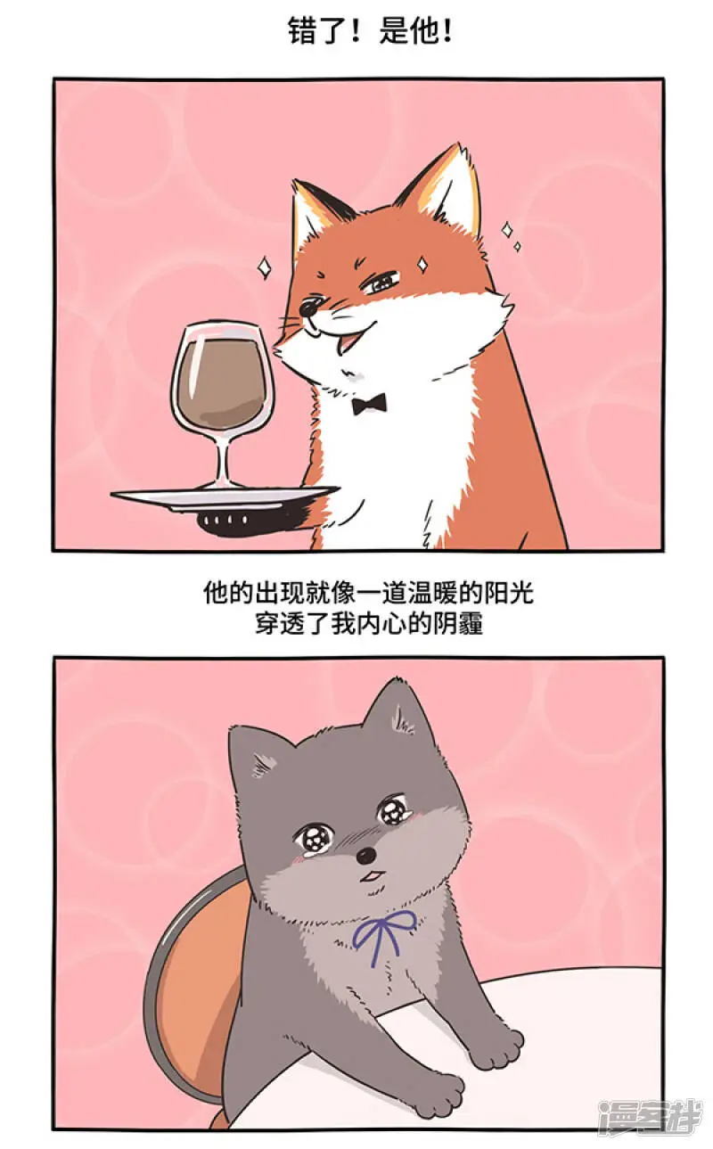289人生若只如初见，一束强光挺晃眼~ 第6页
