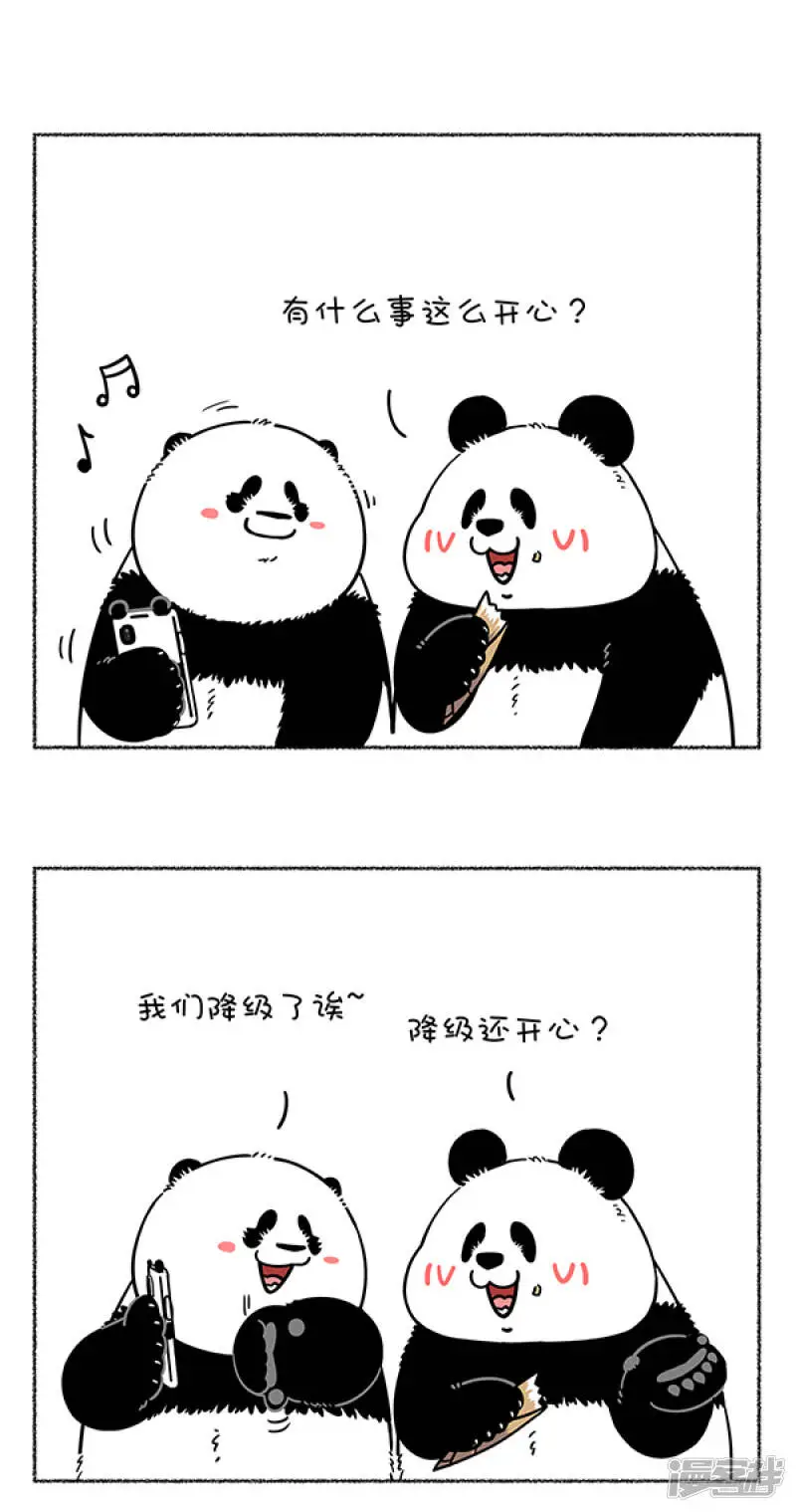 284热烈庆祝大熊猫成功降级，也祝贺奇思圆宝不忘初心~ 第1页