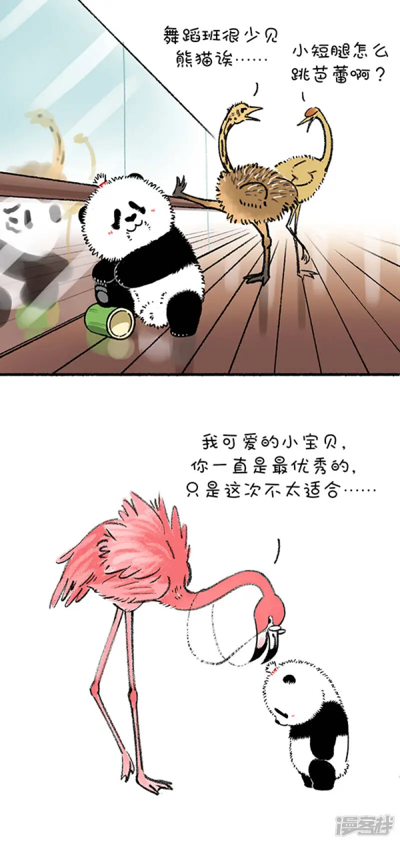 247管它短不短，只要熊够暖~ 第1页