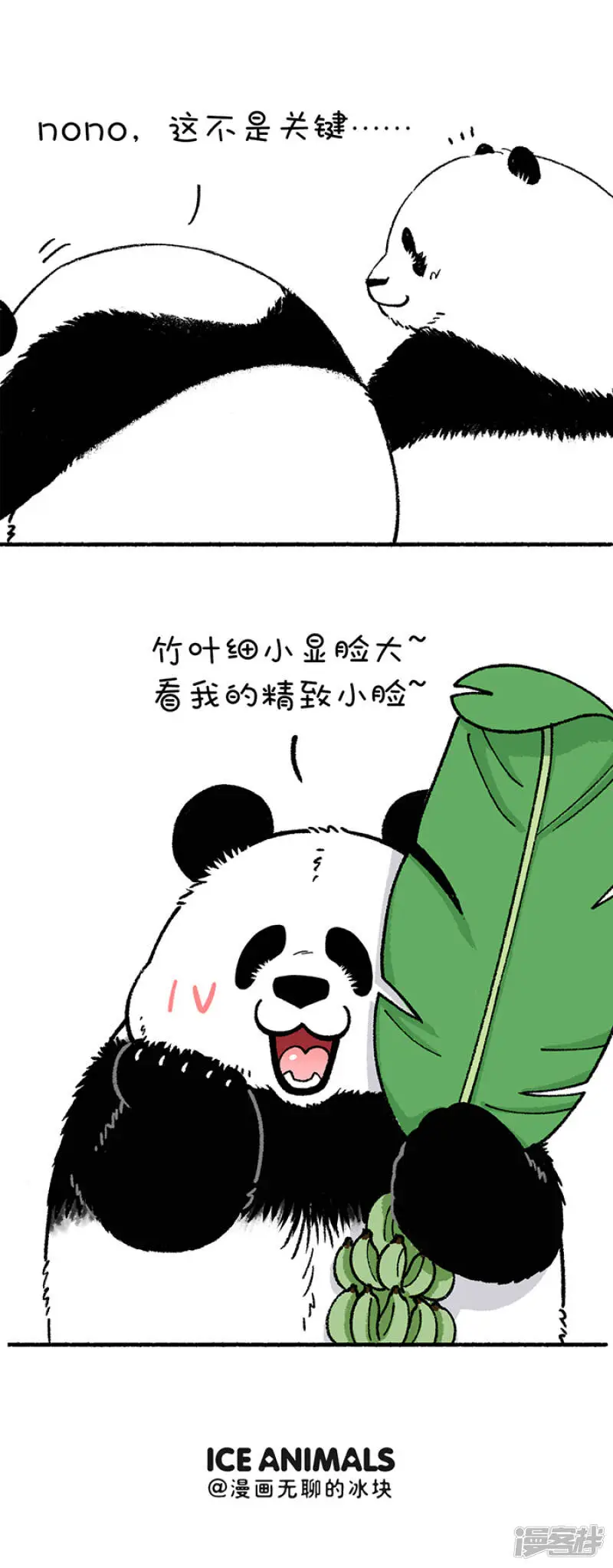215一招解决你的脸大问题 第5页
