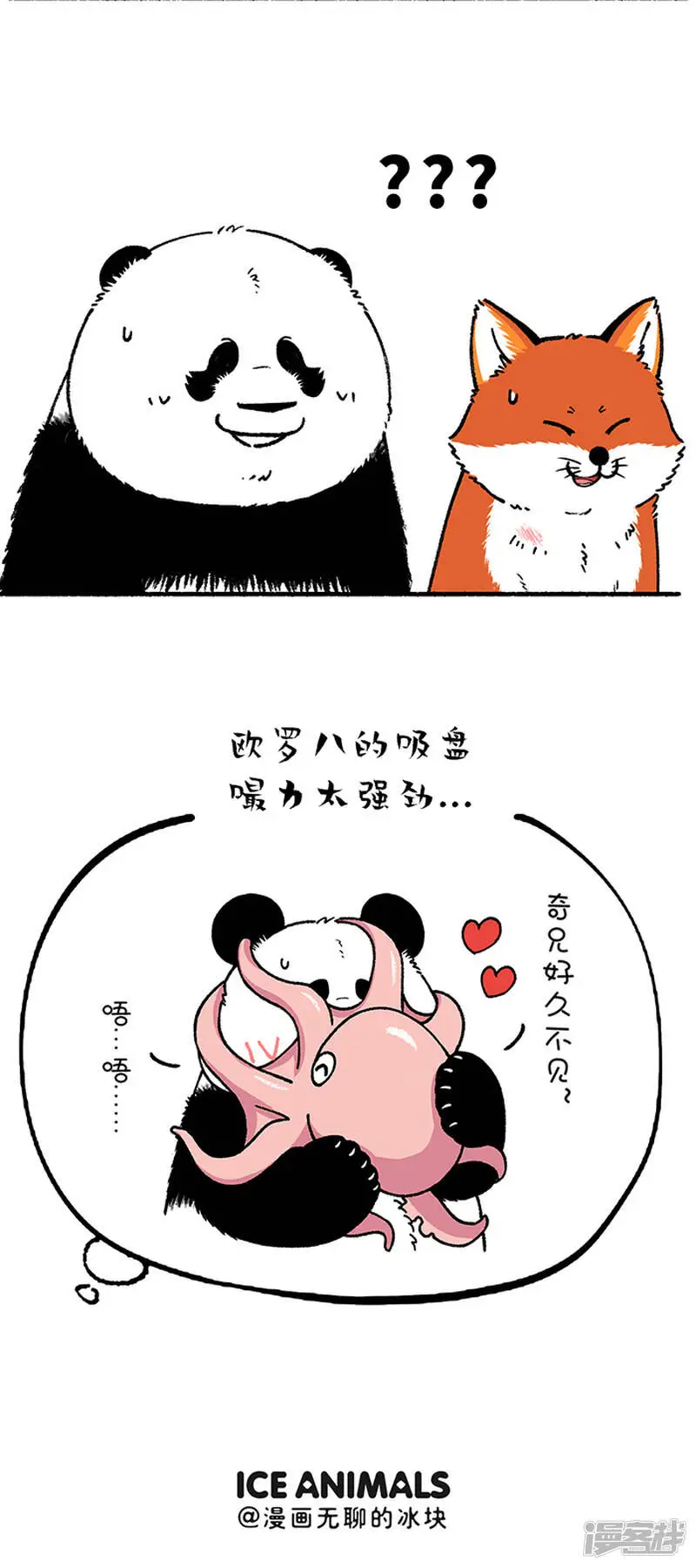 213别误会，我是熊又不是猪 第4页