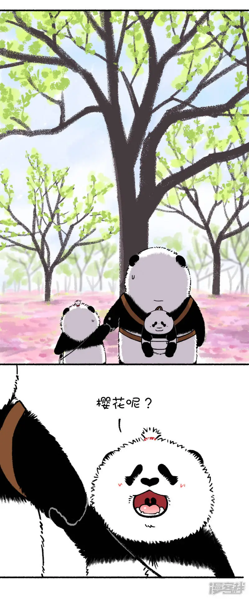 211没有什么能够阻挡春天的脚步 第3页