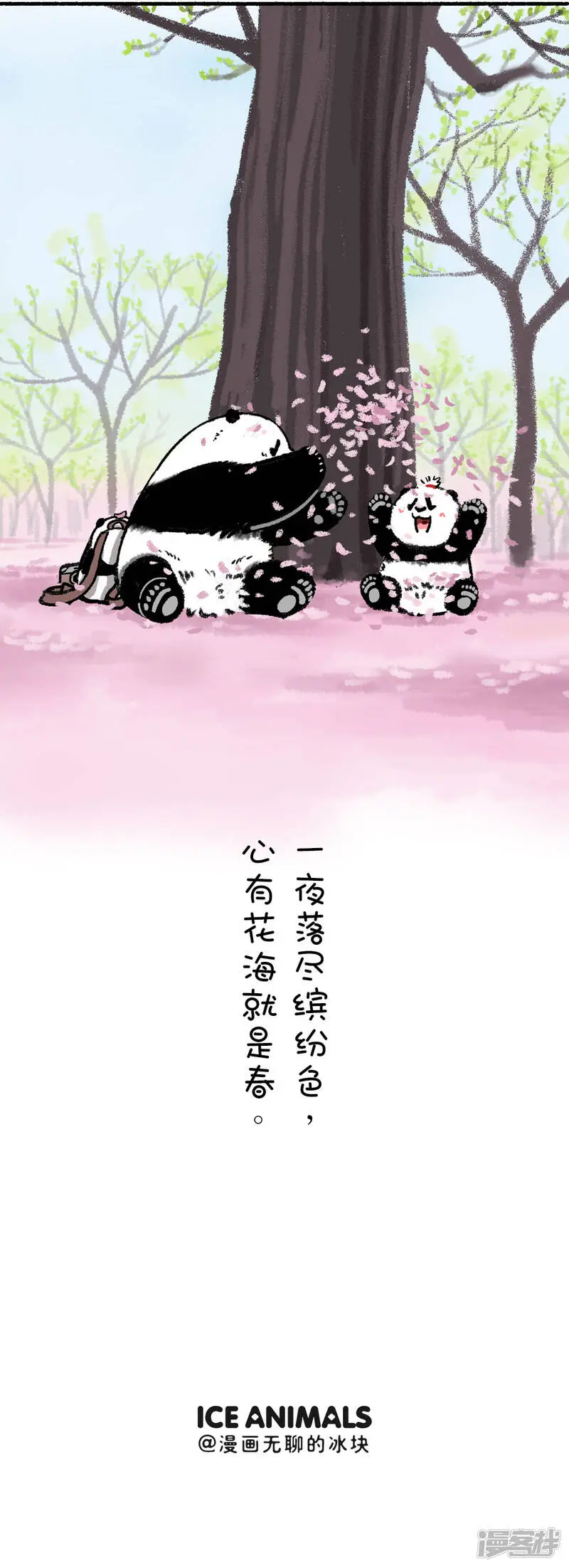 211没有什么能够阻挡春天的脚步 第6页