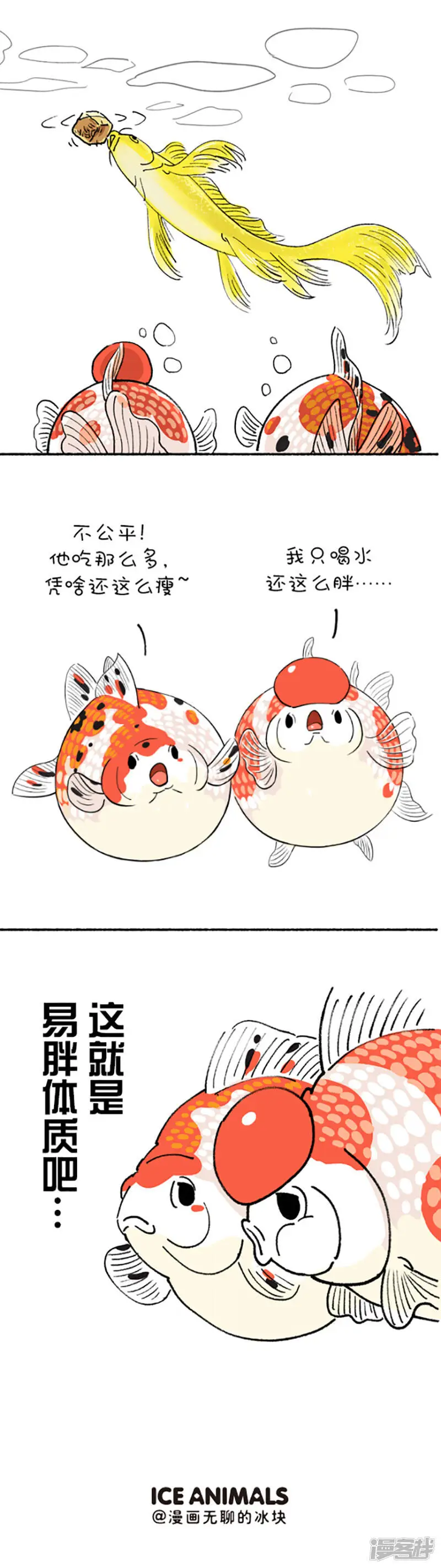 190 如何判断自己是不是易胖体质 第3页