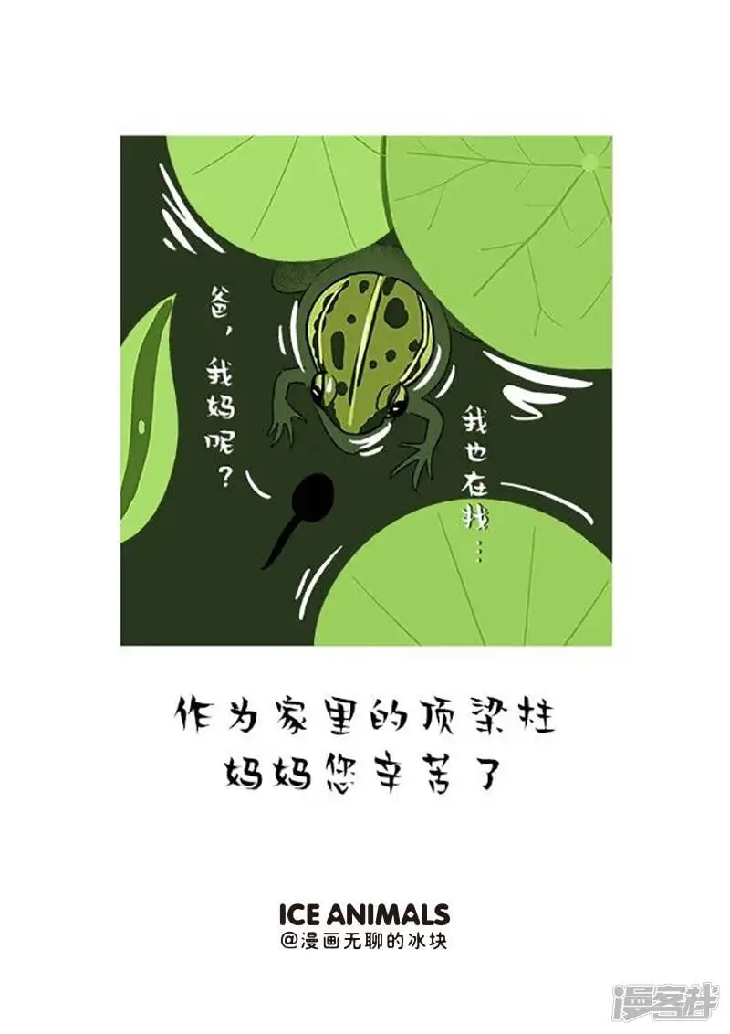 150妈，你这老公是怎么肥事啊 第1页