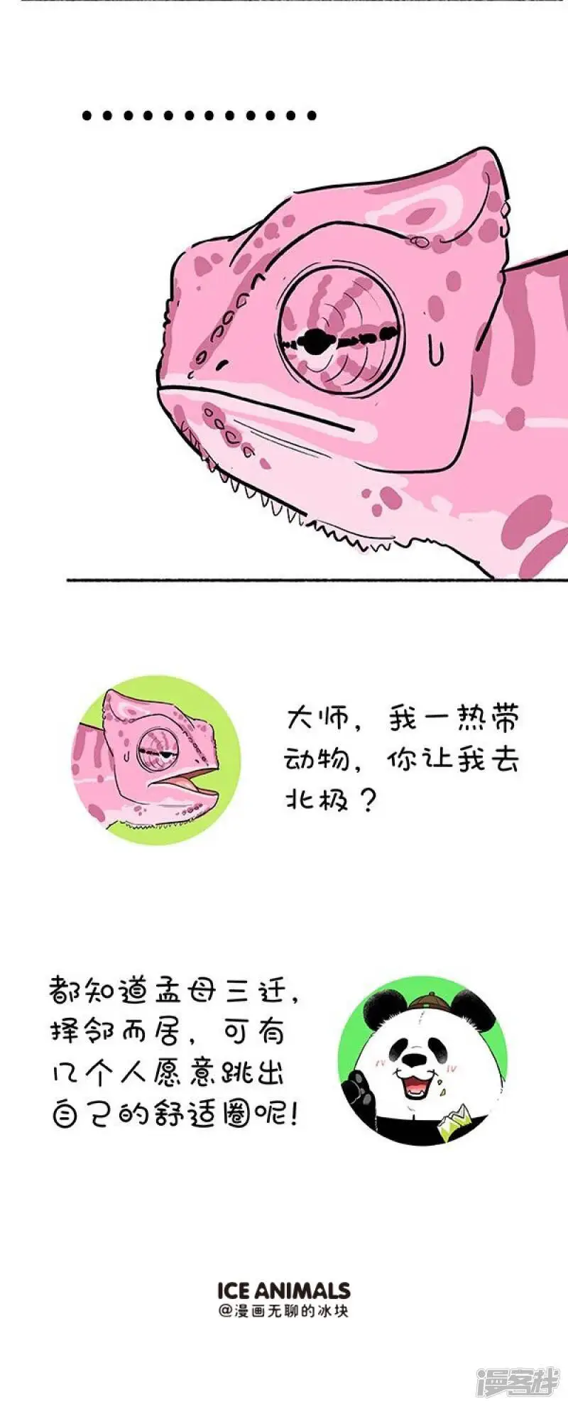 132奇大师不框你之爱到白头 第8页
