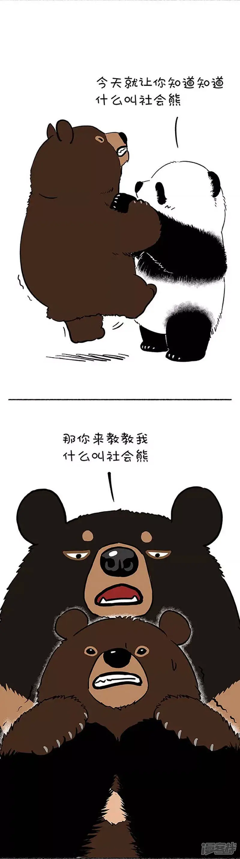 109社会熊 第3页