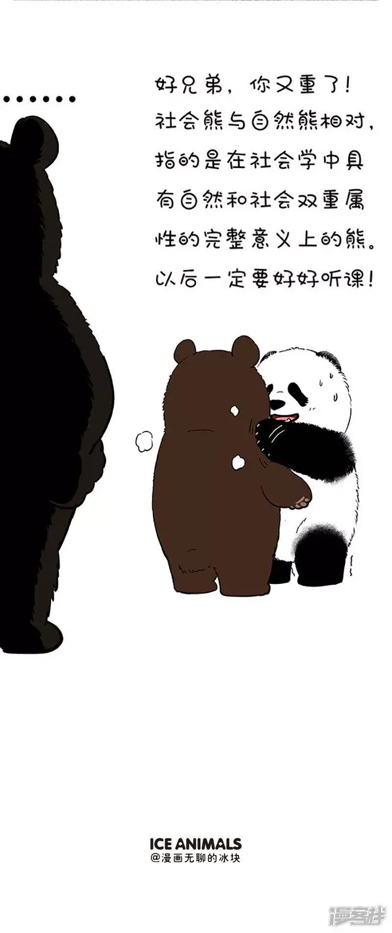 109社会熊 第5页