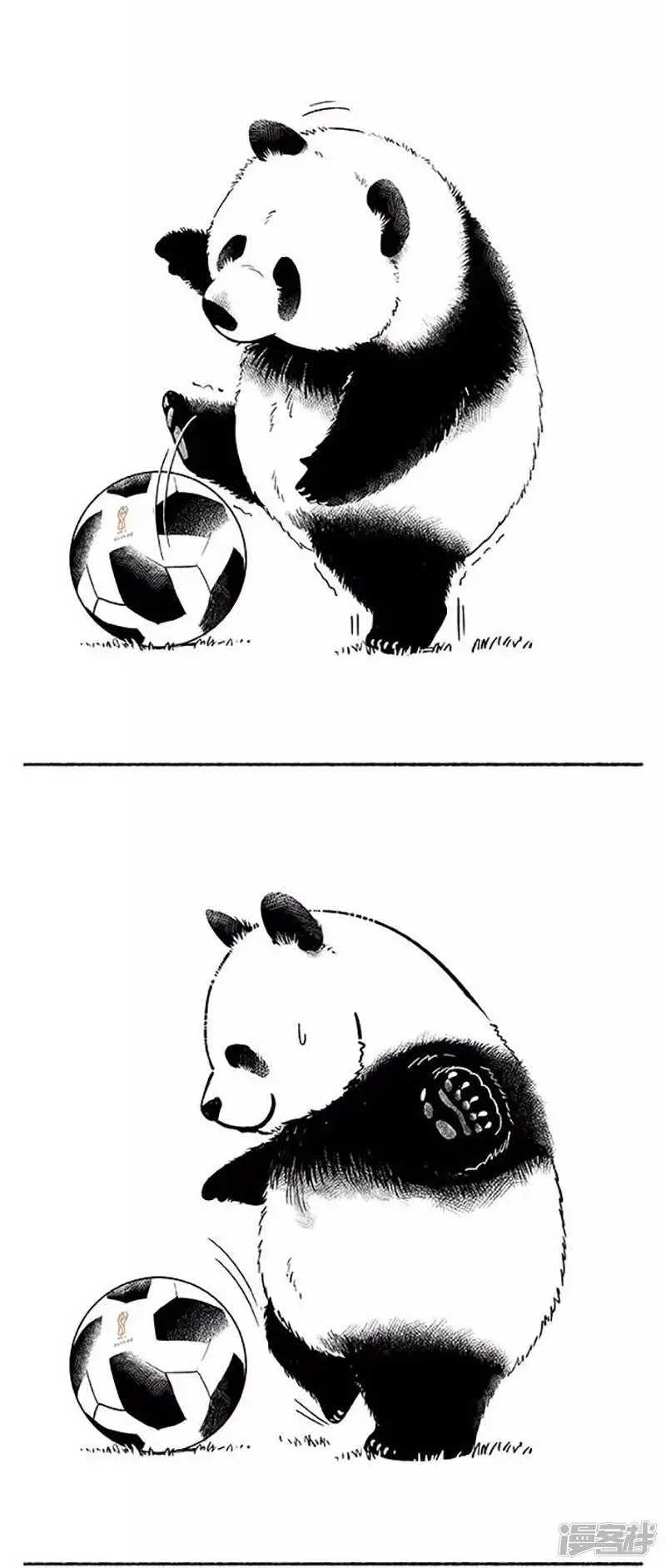 080球技 第3页
