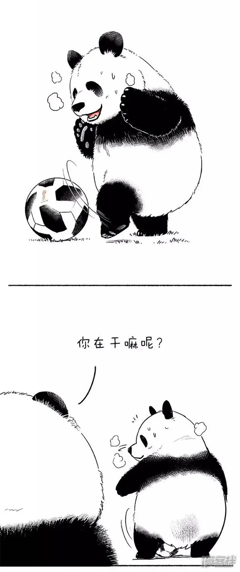 080球技 第5页