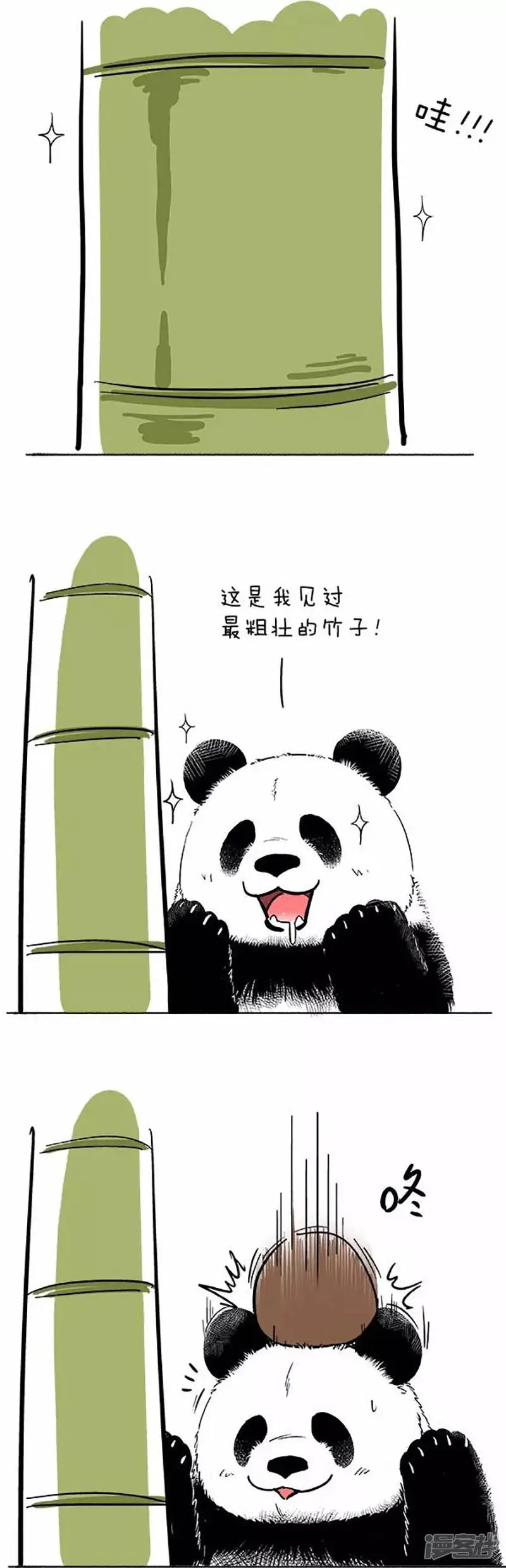 072椰子 第1页